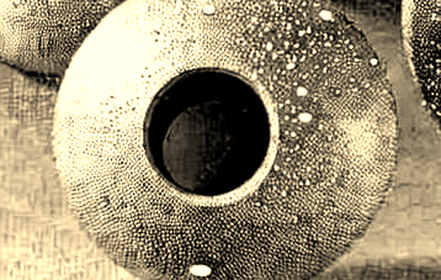 Halved Then Erased: The Situational Awareness Fund Liquidation and the AI-Crypto Reckoning