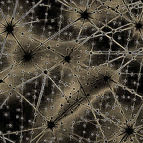 Tracing the Ghost in the Validator's Code: Apple's Silence, Amazon's Furnace, and the Repricing of AI Compute