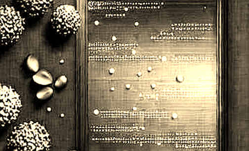 The Sanctions Signal: On-Chain Data Reveals a Divergent Reality in the Face of Geopolitical Pressure