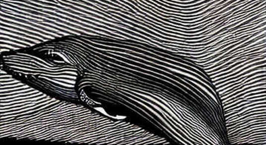 The Signal in the Noise: When Zero Information Becomes Your Strongest Data Point The Signal in the Noise: When Zero Information Becomes Your Strongest Data Point