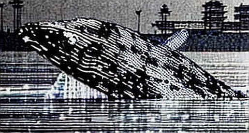 The $6.3 Billion AI Blow-Up: A Forensic Review of a 4x Leverage Collapse