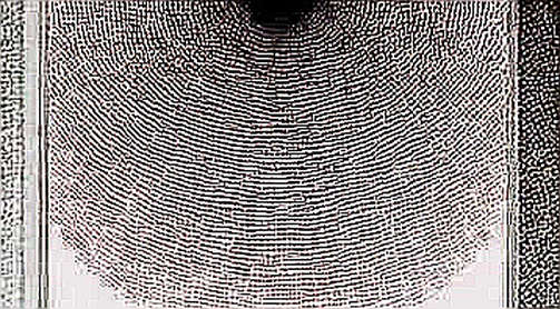 AI’s Privacy Leak Exposes the Fatal Flaw of Centralized Trust: Why Blockchain Must Own the Data Layer
