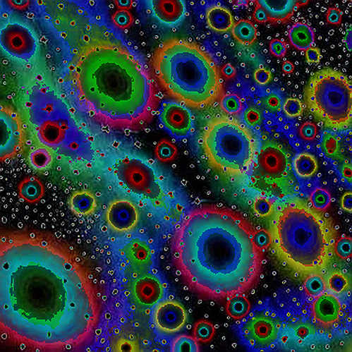 Cardano's Slow Philosophy: A Data Detective's Verdict on Hoskinson's Anthropic Analogy