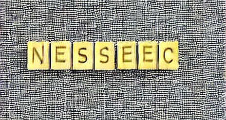 The Sequencer’s Silent Failure: Why ZK-Rollup Finality Is Still a Mirage