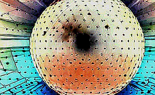 The Agentic AI Mirage: Why Franklin Templeton's Crypto Call Rings Hollow Without On-Chain Proof
