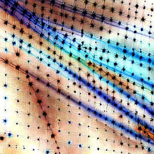 The Unaudited Success: Reading Amazon's AI Capex Like a Smart Contract The Unaudited Success: Reading Amazon's AI Capex Like a Smart Contract