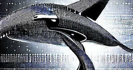 The Unverified Attack: Hugging Face, Agent Authorization, and the Accountability Mirage