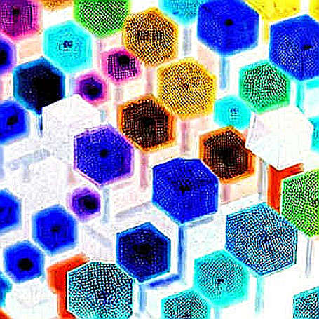 Bank of England Hawks Are Isolated: The Terminal Rate Signal Rewiring Crypto's Liquidity Math